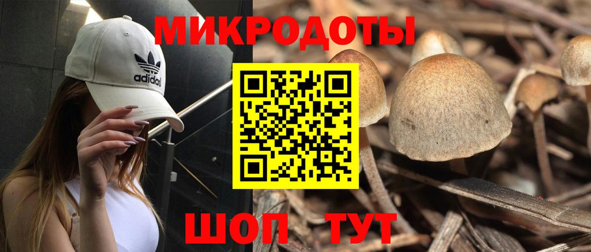 Галлюциногенные грибы Cubensis Симферополь